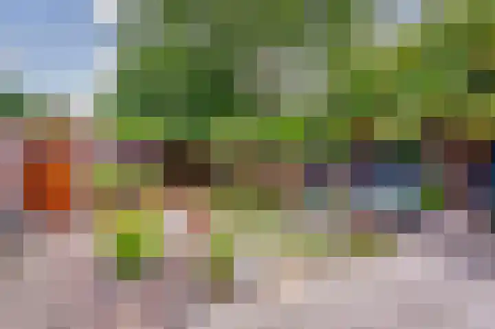 de Iep 2 Hellevoetsluis thumbnail 31