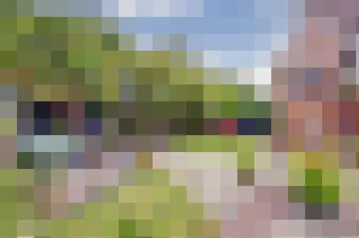 de Iep 2 Hellevoetsluis thumbnail 32