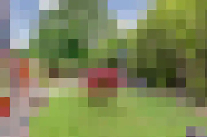 de Iep 2 Hellevoetsluis thumbnail 34