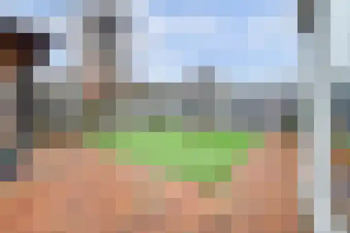 de Iep 37 Haaksbergen thumbnail 31