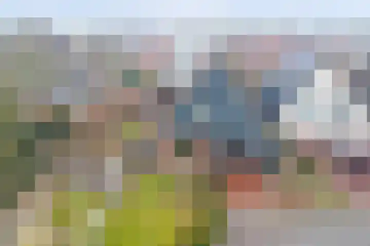 de Iep 37 Haaksbergen thumbnail 33