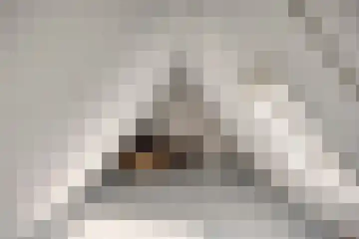 de Iep 41 Haaksbergen thumbnail 24