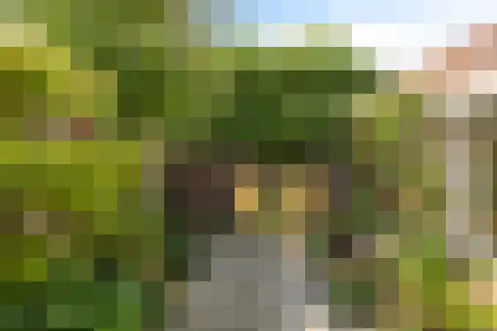 de Iep 41 Haaksbergen thumbnail 25
