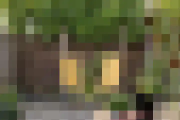 de Iep 41 Haaksbergen thumbnail 28