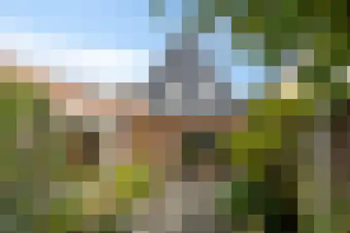 de Iep 41 Haaksbergen thumbnail 29