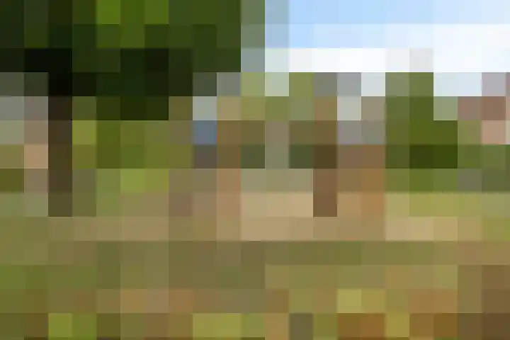 de Iep 41 Haaksbergen thumbnail 30