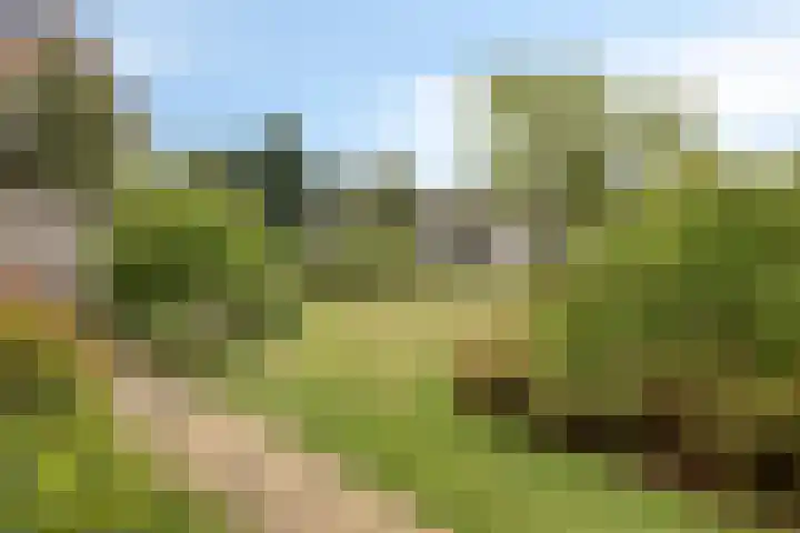 de Iep 41 Haaksbergen thumbnail 31