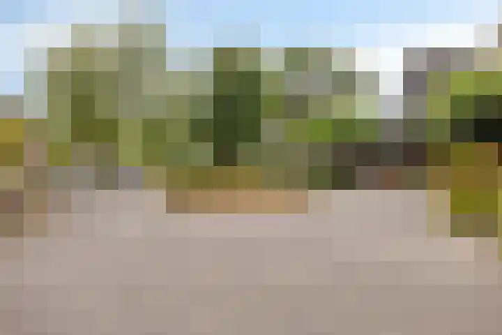 de Iep 41 Haaksbergen thumbnail 4