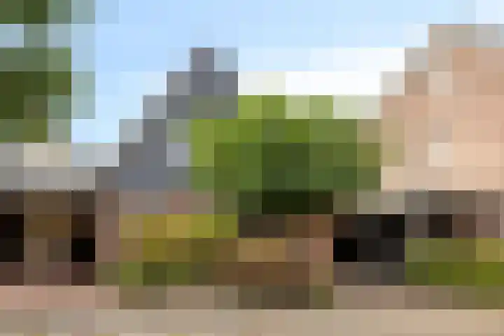 de Iep 41 Haaksbergen thumbnail 5