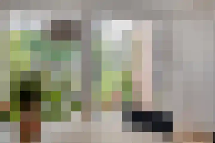de Iep 41 Haaksbergen thumbnail 8