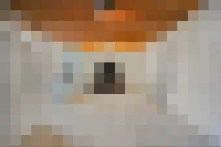 De Iep 6 Budel thumbnail 11