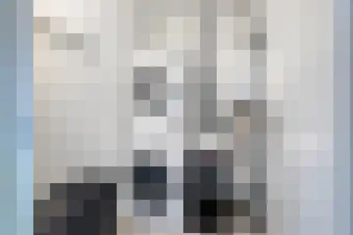 De Iep 6 Budel thumbnail 19