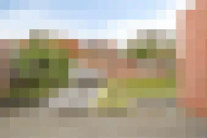 De Iep 6 Budel thumbnail 22