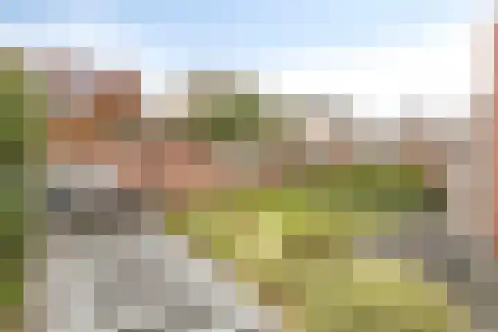 De Iep 6 Budel thumbnail 23