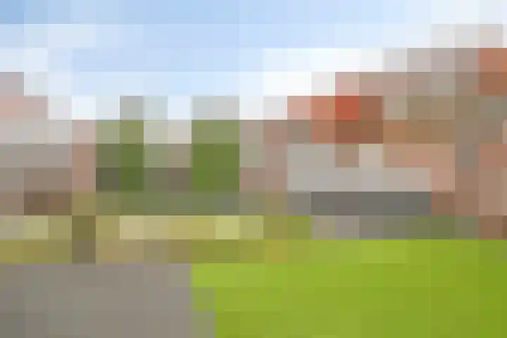 De Iep 6 Budel thumbnail 24