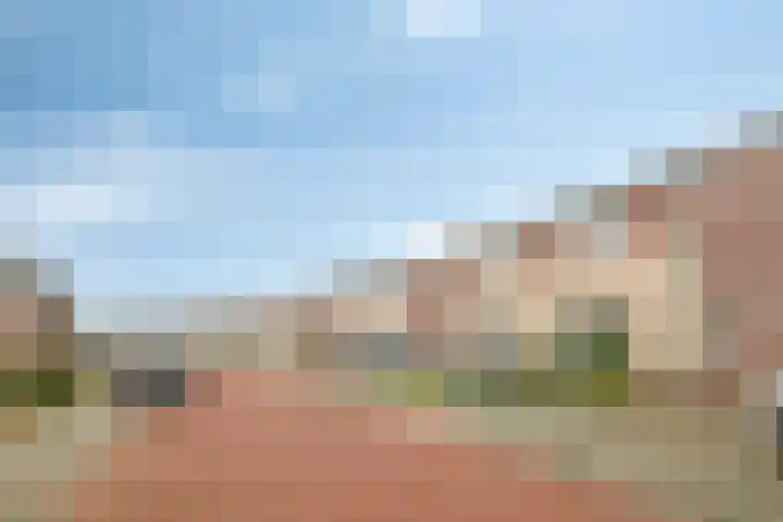 De Iep 6 Budel thumbnail 25