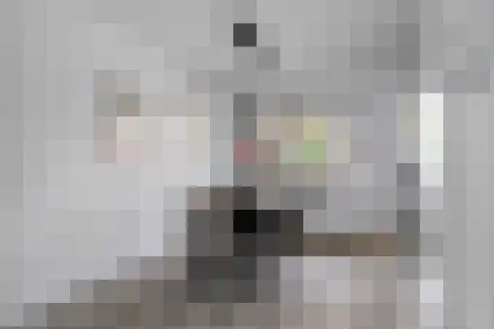 De Iep 6 Budel thumbnail 6