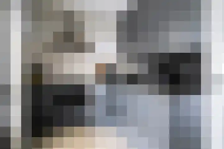 De Iep 6 Budel thumbnail 8