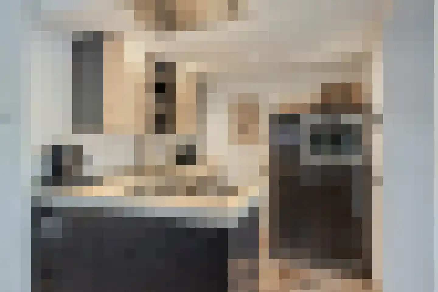 De Iep 9 Budel thumbnail 10