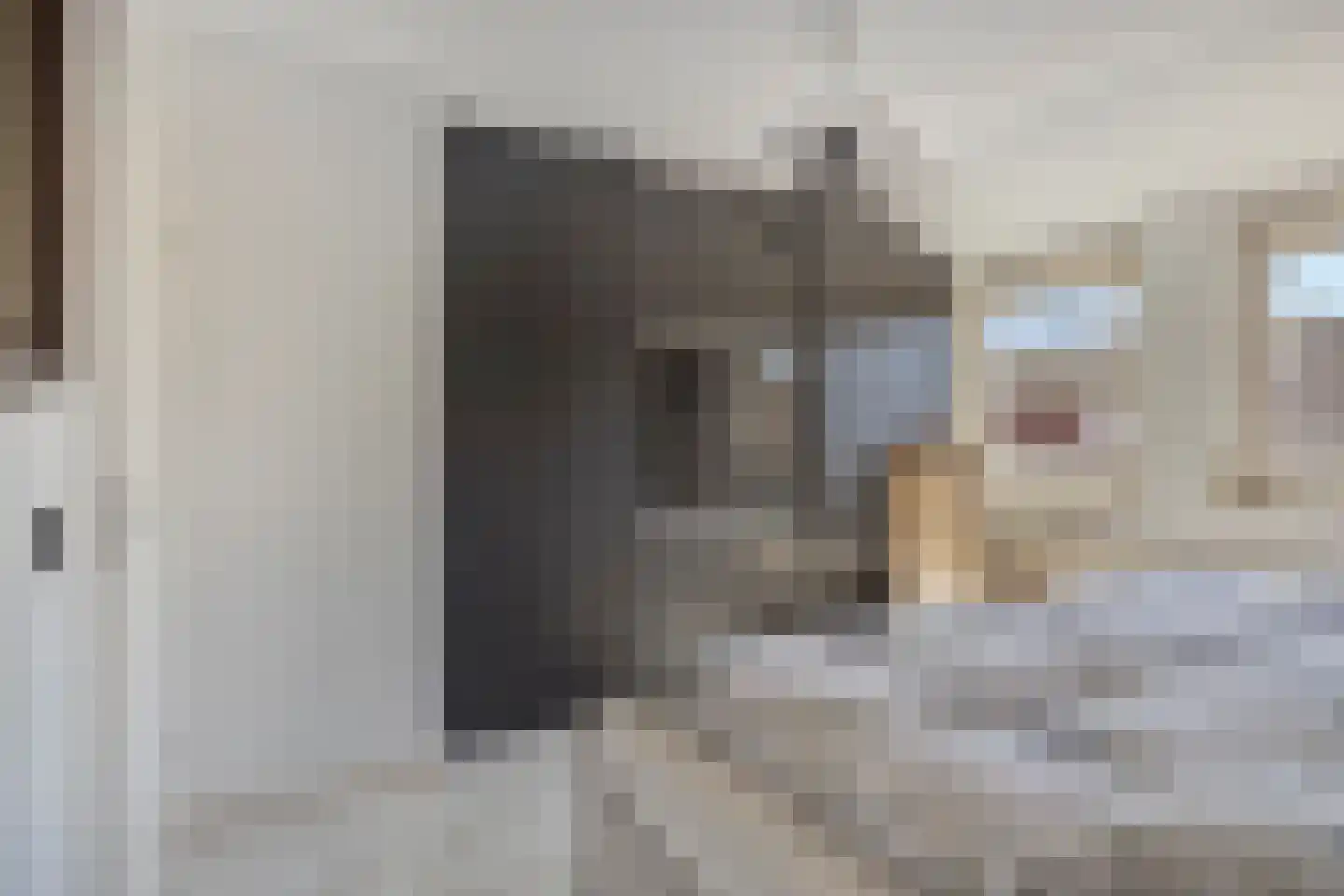 De Iep 9 Budel thumbnail 18