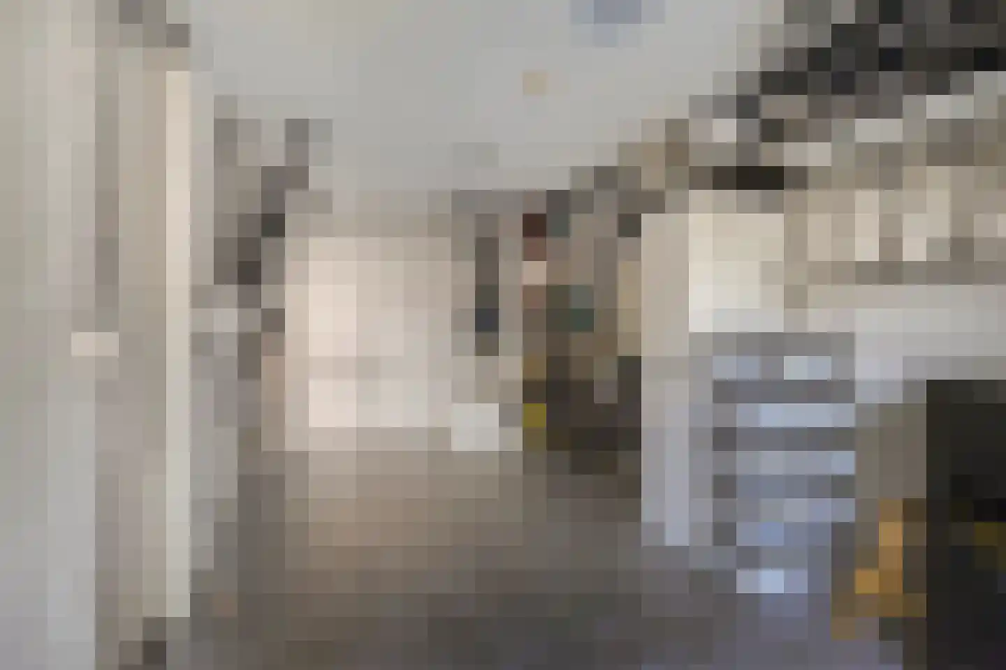 De Iep 9 Budel thumbnail 26