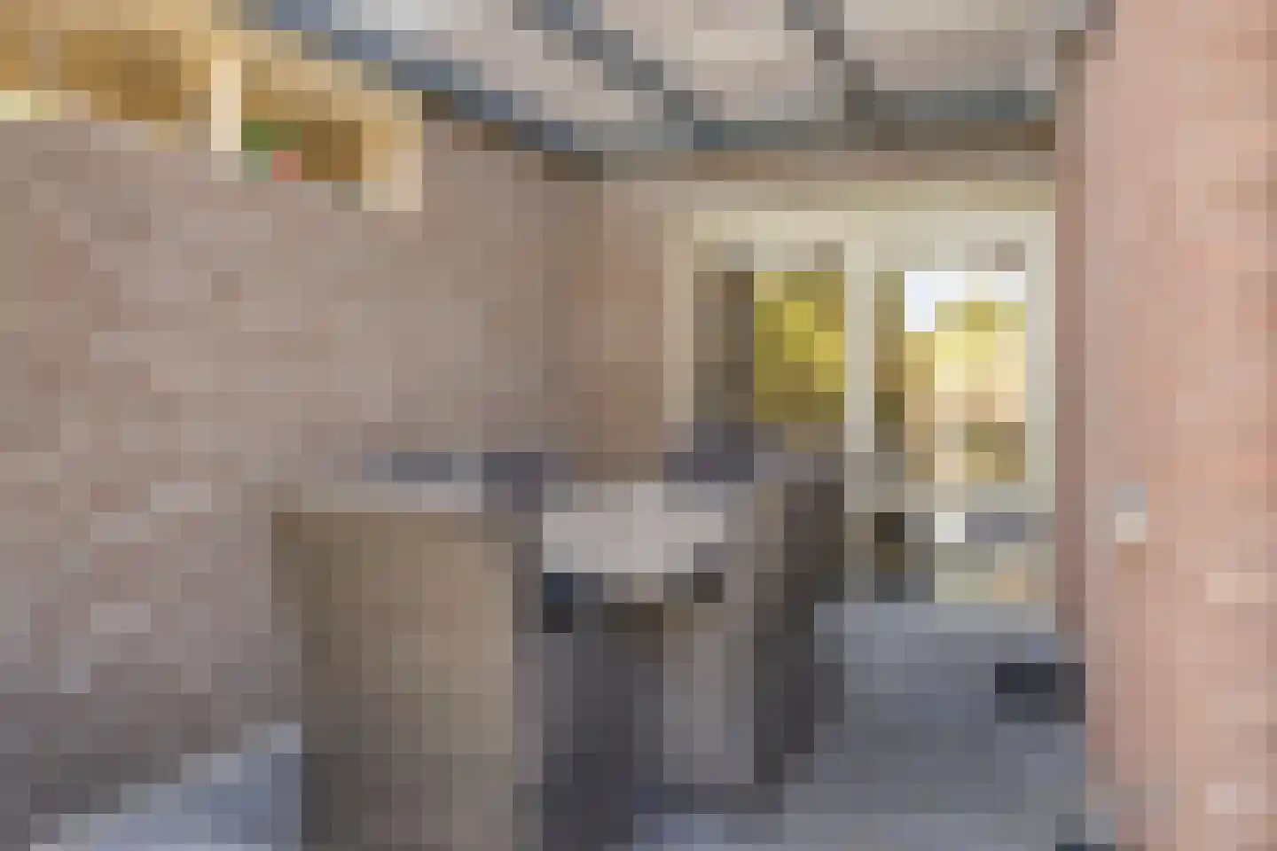 De Iep 9 Budel thumbnail 29