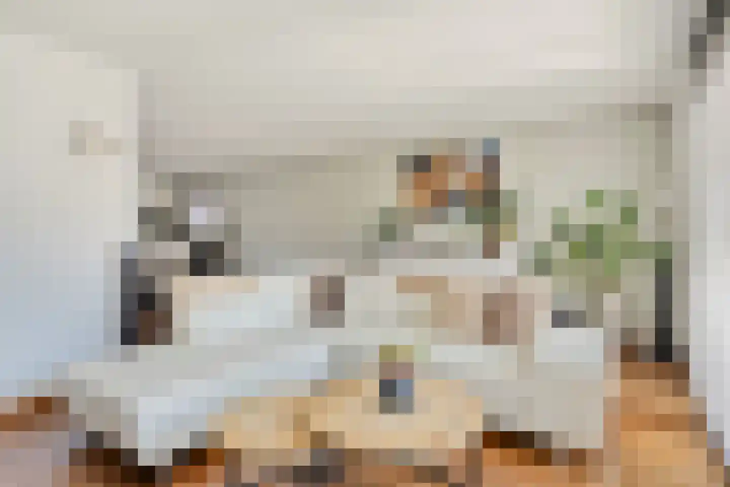 De Iep 9 Budel thumbnail 5