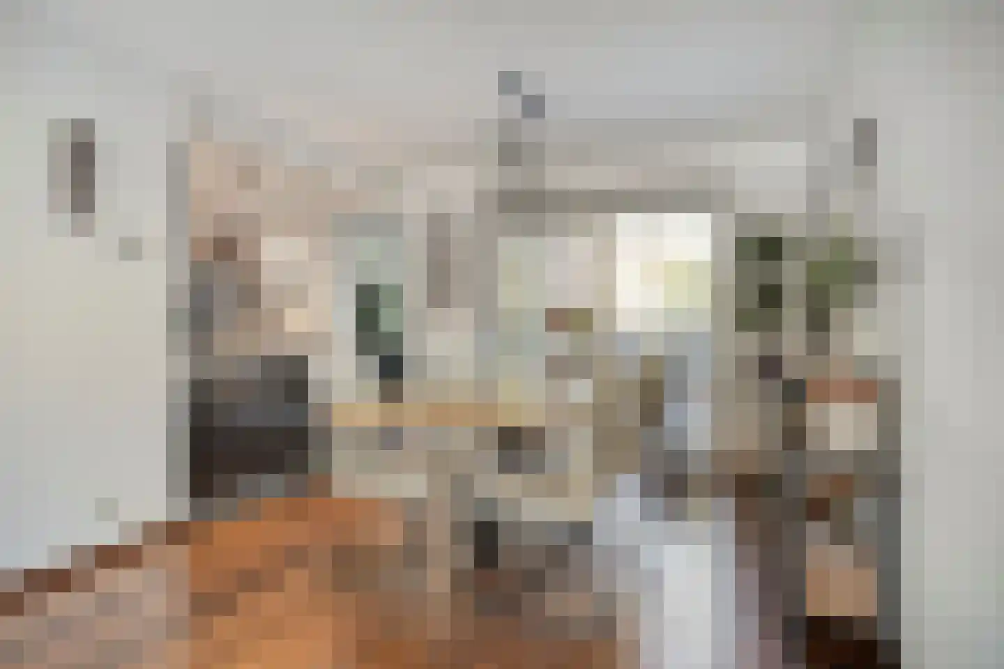 De Iep 9 Budel thumbnail 8