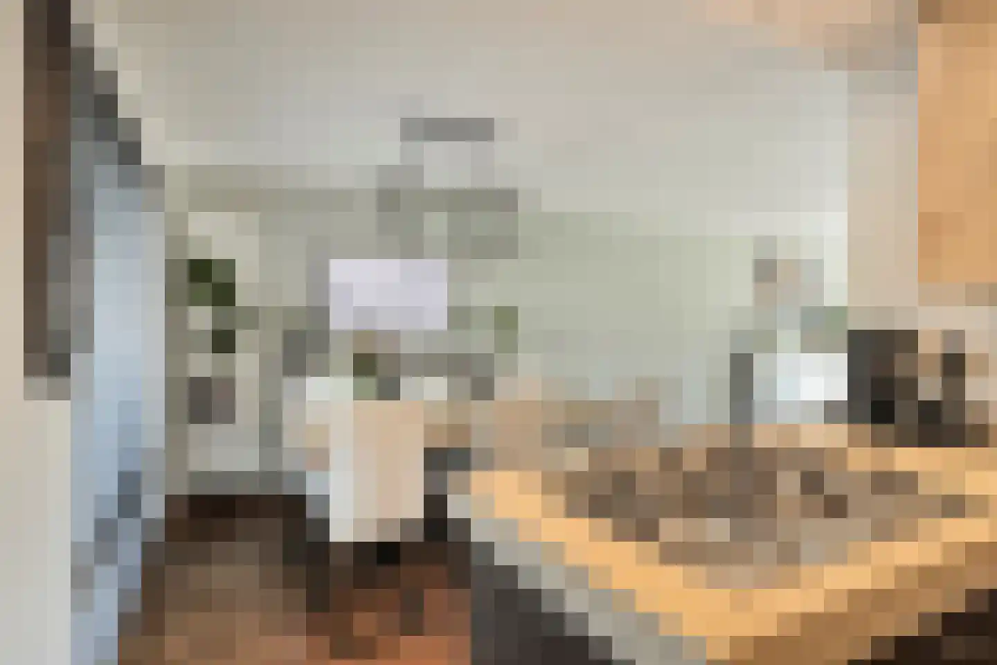 De Iep 9 Budel thumbnail 9