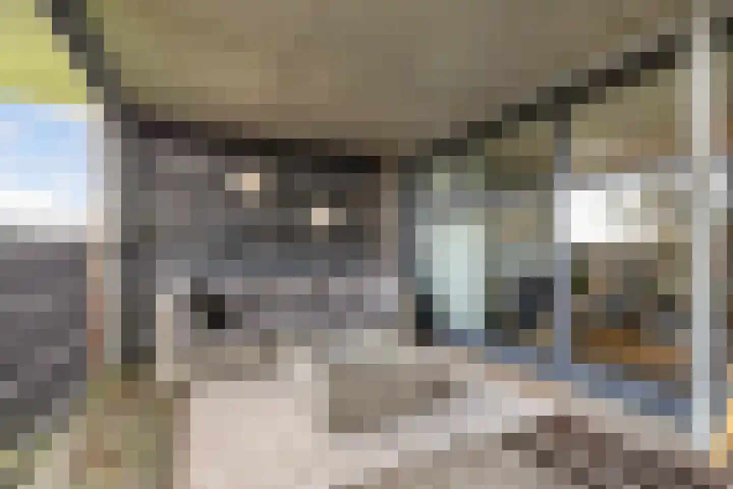 De Iisbaan 10 n Wommels thumbnail 15