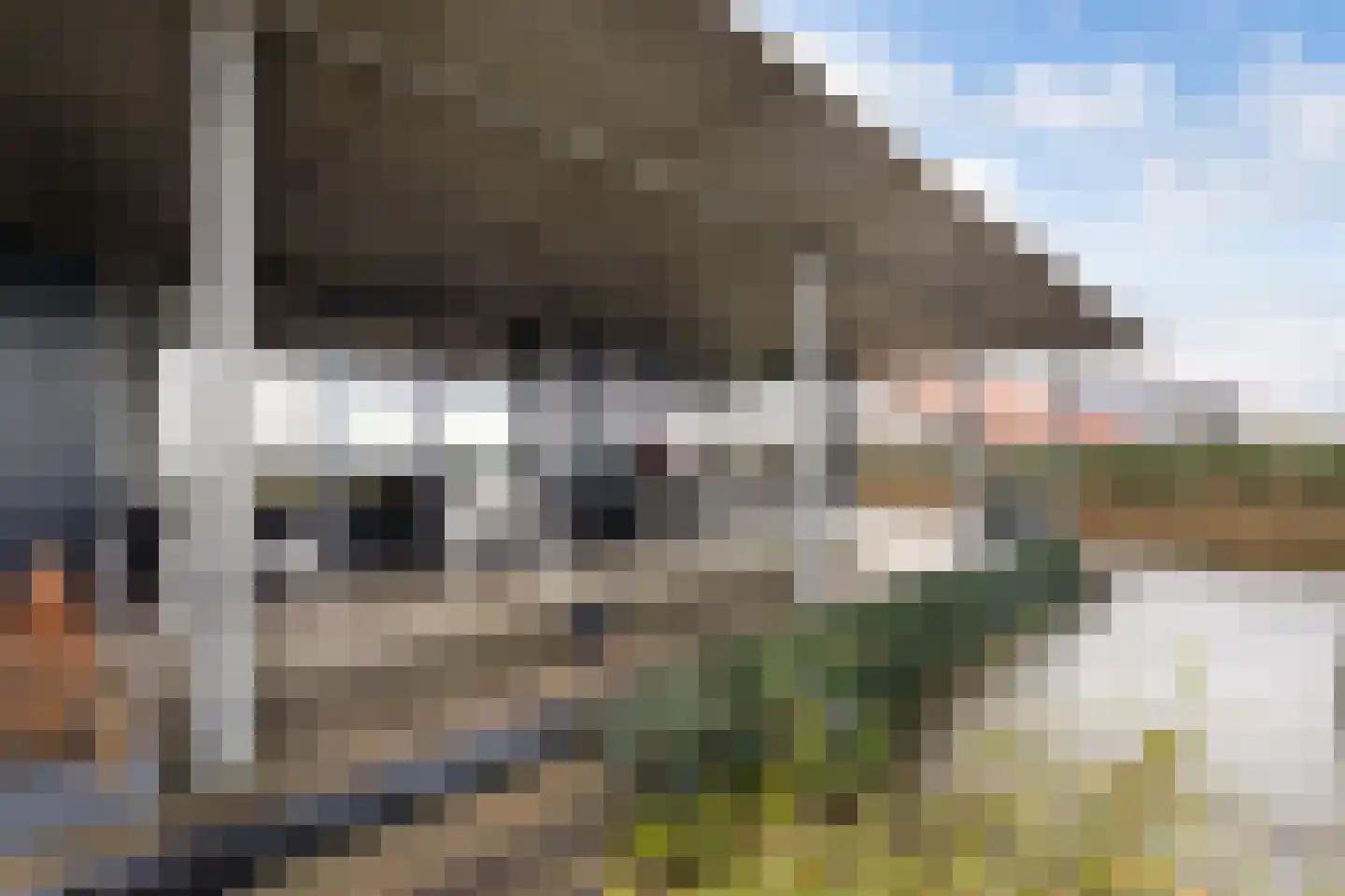De Iisbaan 10 n Wommels thumbnail 18