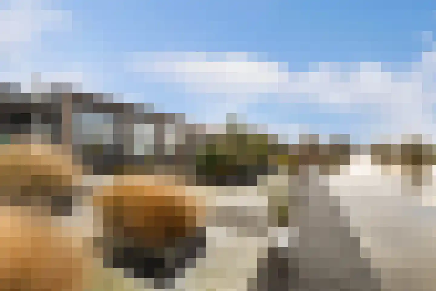 De Iisbaan 10 n Wommels thumbnail 20