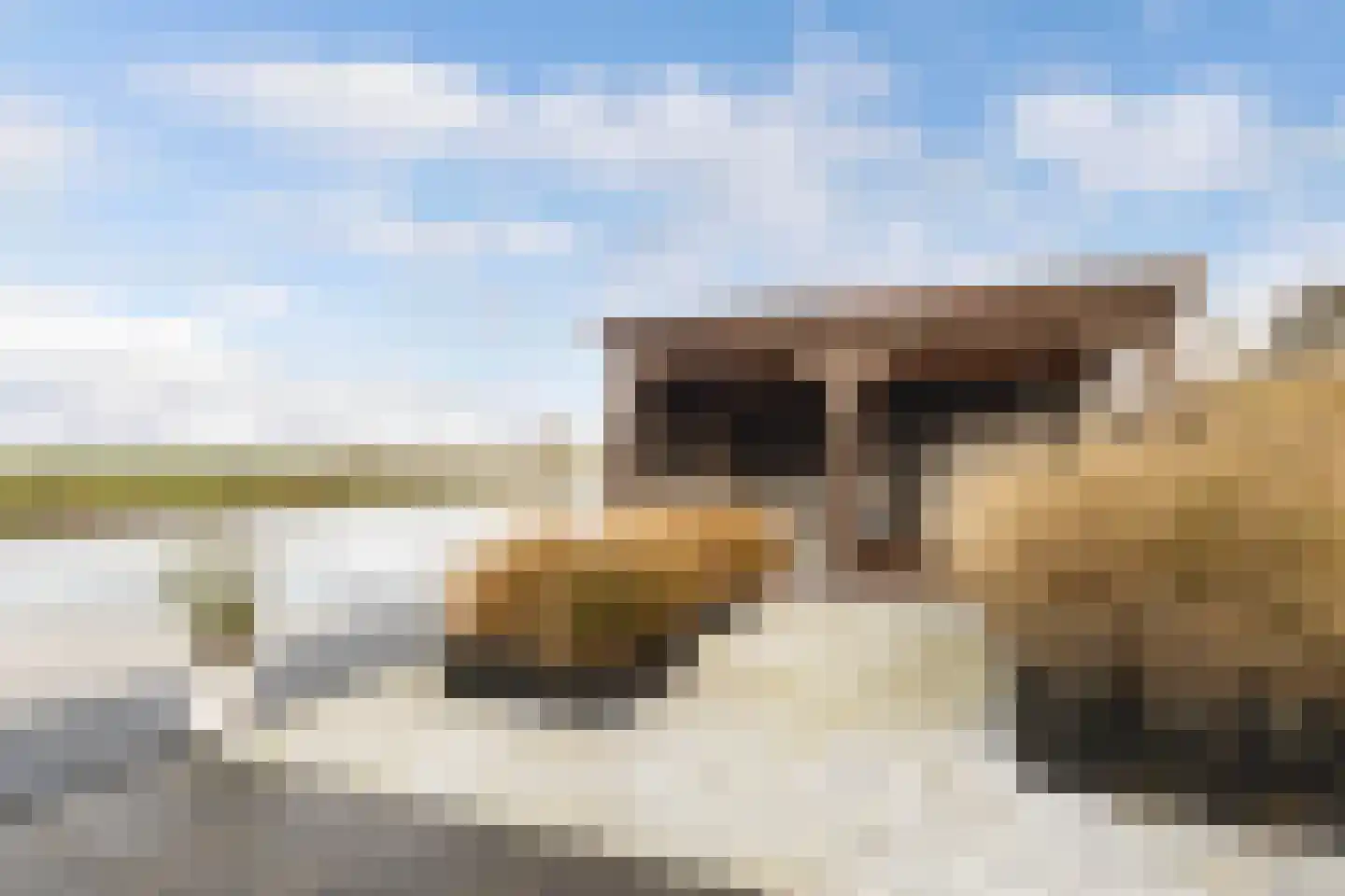 De Iisbaan 10 n Wommels thumbnail 22