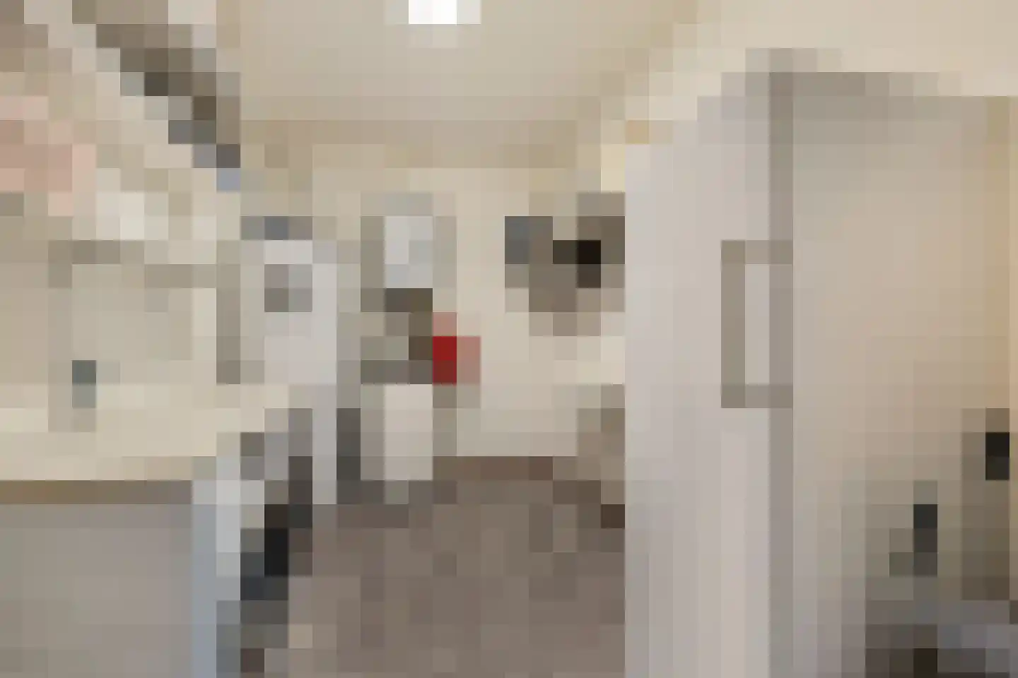 De Iisbaan 10 n Wommels thumbnail 36