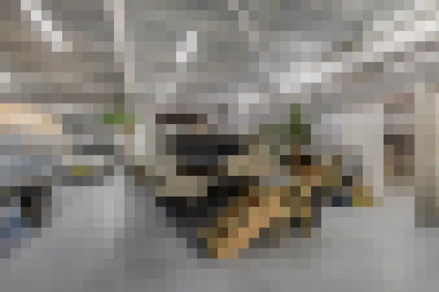De Iisbaan 10 n Wommels thumbnail 43