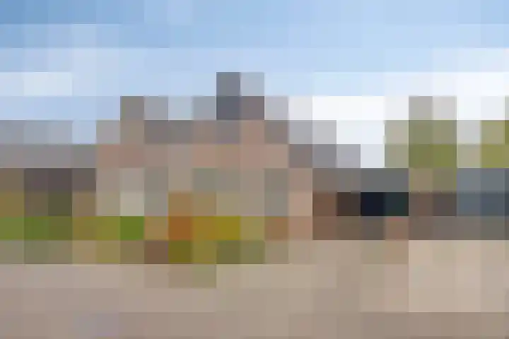 De IJslander 22 in Dronten