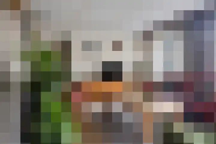 De IJslander 22 Dronten thumbnail 11