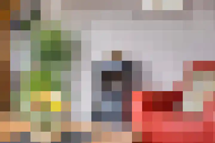 De IJslander 22 Dronten thumbnail 24