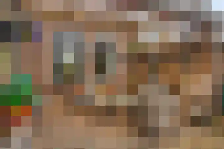 De IJslander 22 Dronten thumbnail 32