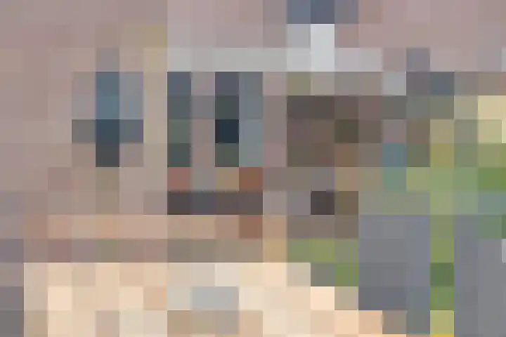 De IJslander 22 Dronten thumbnail 34