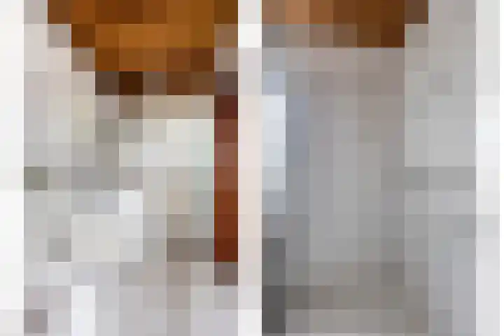De IJslander 22 Dronten thumbnail 38