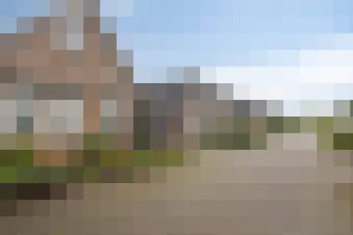 De IJslander 22 Dronten thumbnail 6