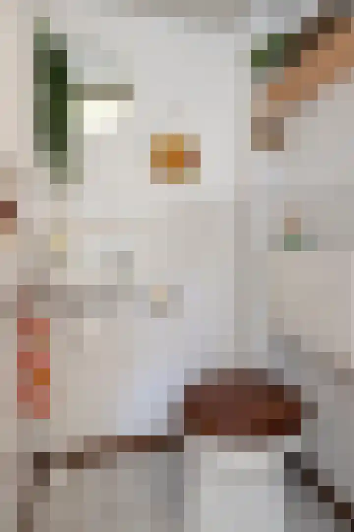 De IJslander 22 Dronten thumbnail 8