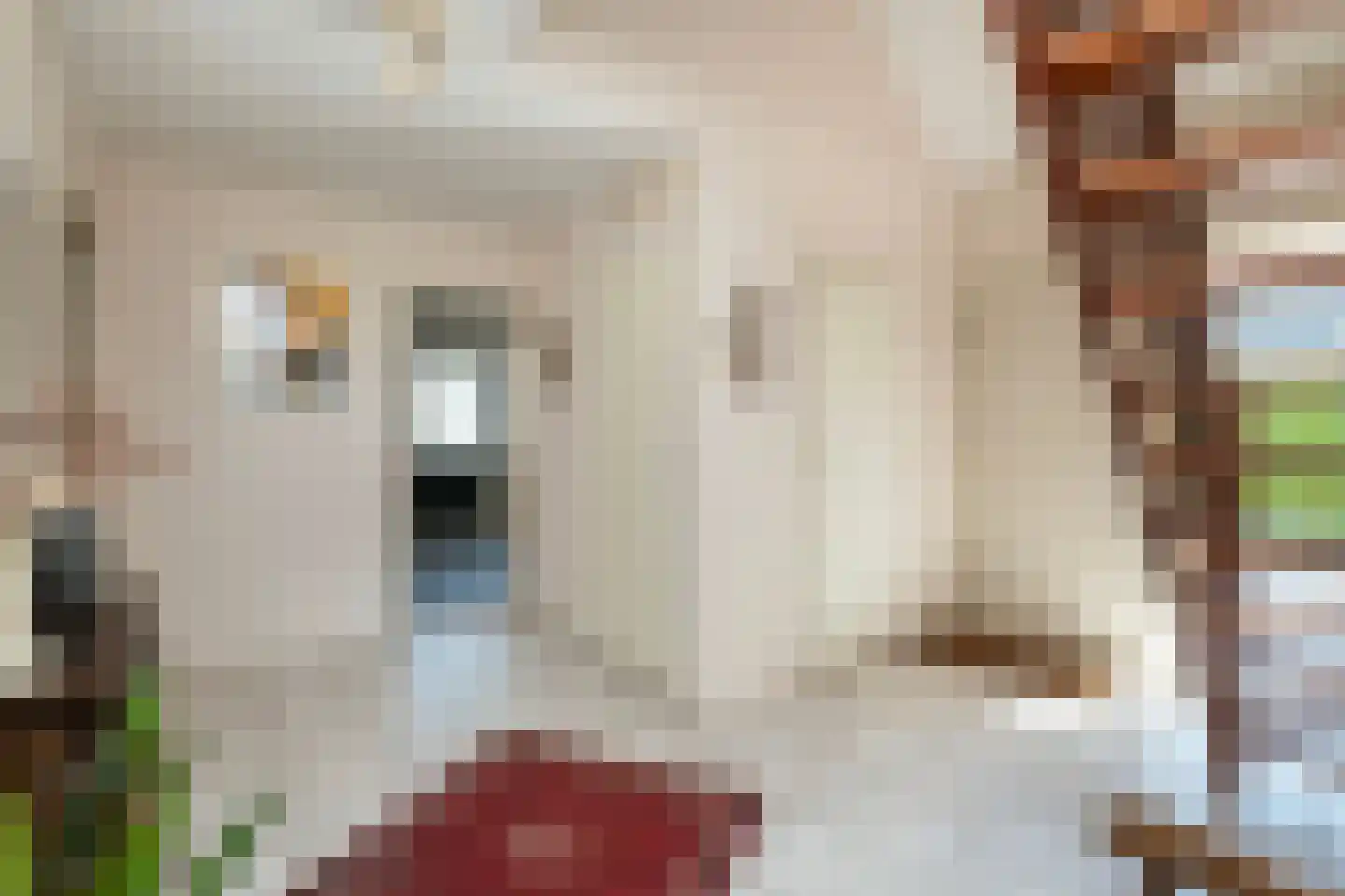 De IJslander 23 Dronten thumbnail 14
