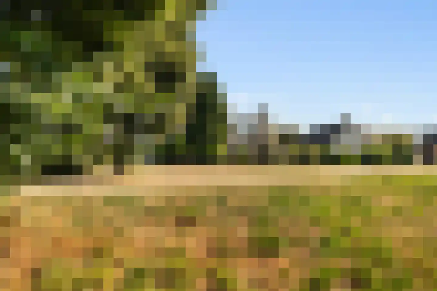 De IJslander 23 Dronten thumbnail 23