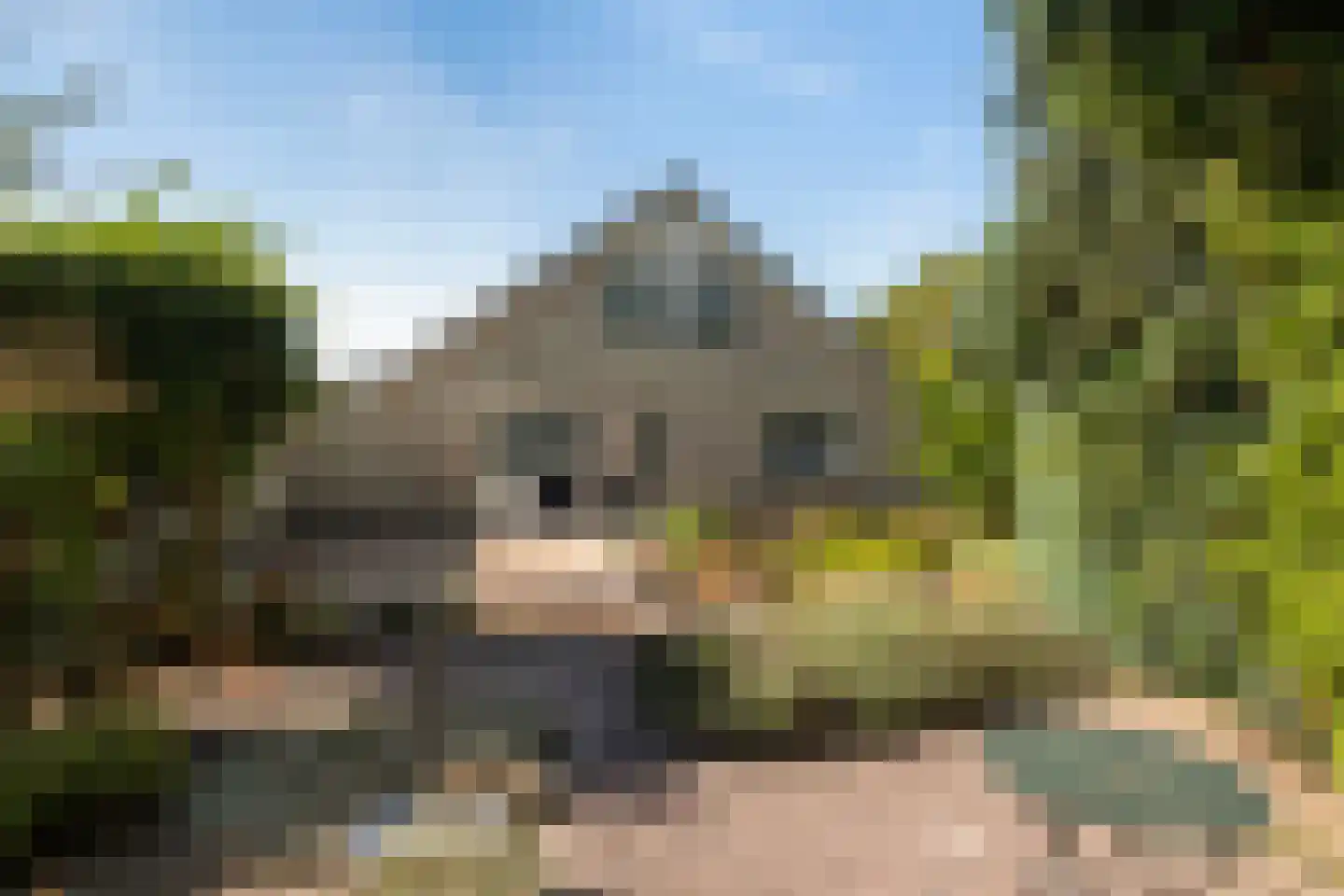 De IJslander 23 Dronten thumbnail 24