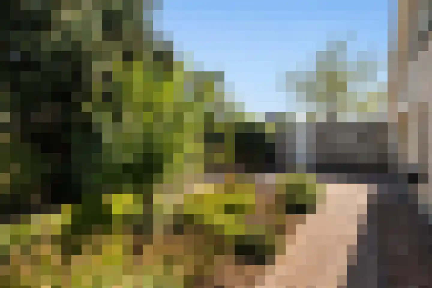 De IJslander 23 Dronten thumbnail 26