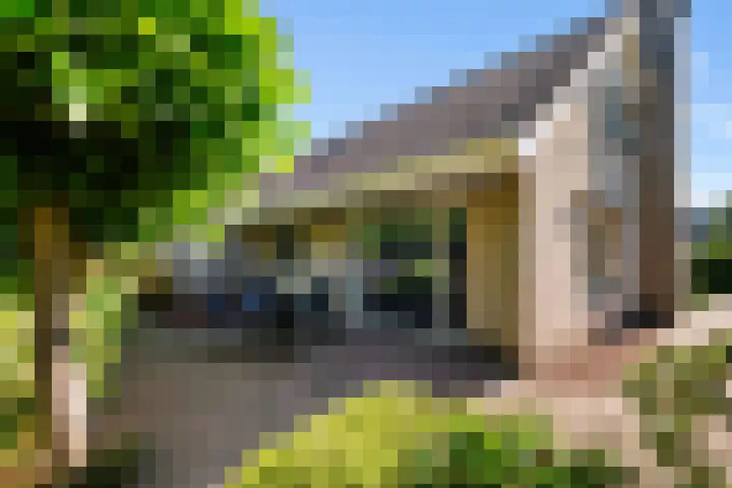 De IJslander 23 Dronten thumbnail 27