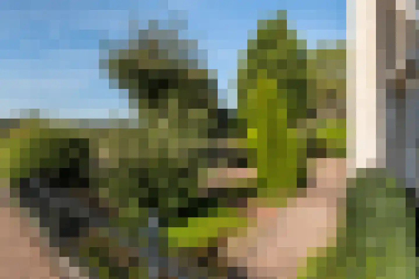 De IJslander 23 Dronten thumbnail 29