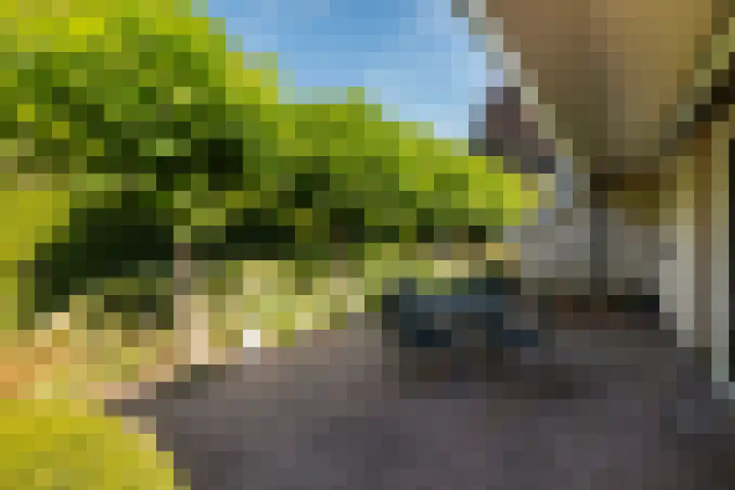 De IJslander 23 Dronten foto 3